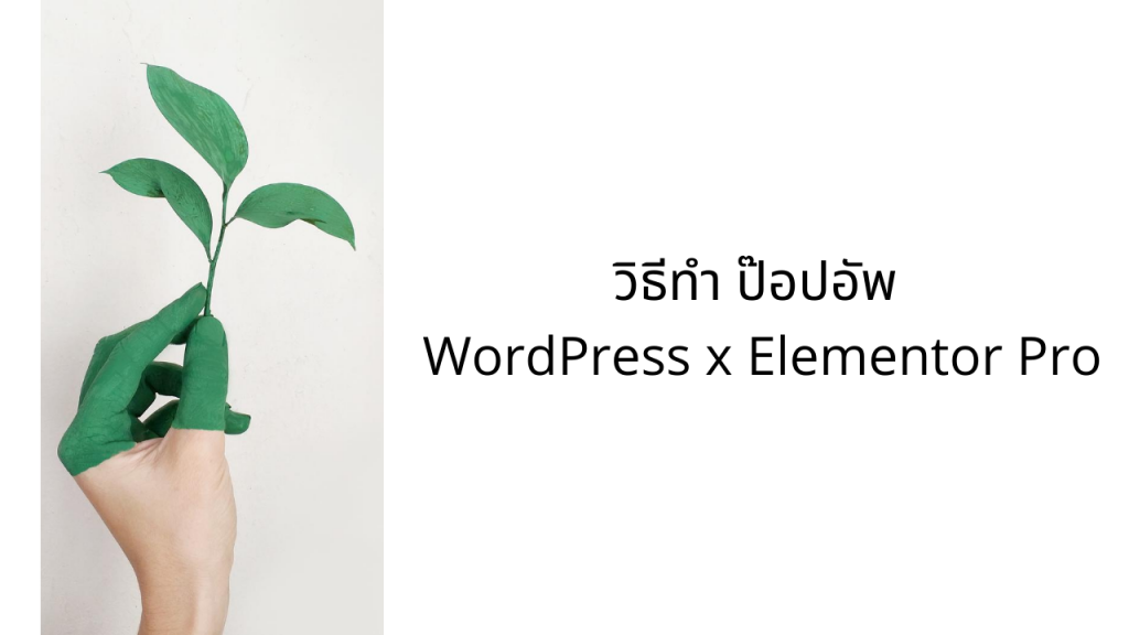 วิธีทำ ป๊อปอัพ WordPress x Elementor Pro